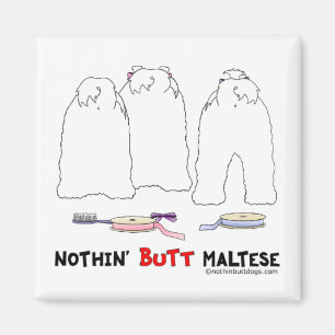 Imán Nada empalma maltés