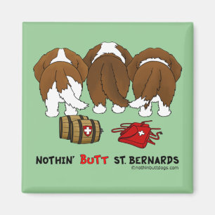Imán Nada empalma St. Bernards