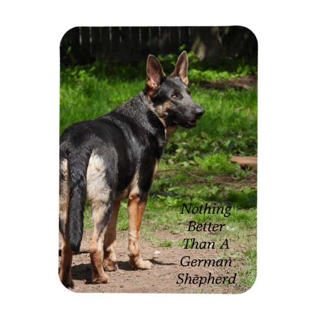 Imán Nada Mejor Que Un Pastor Alemán (Vertical)