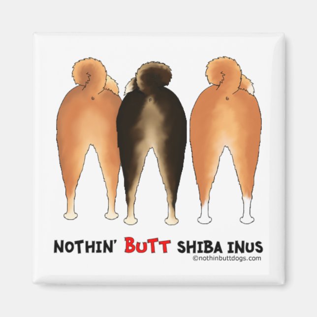 Imán Nada, pero Shiba Inus (Frente)