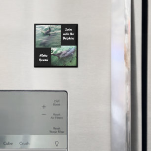 Imán Nadar con delfines Hawái