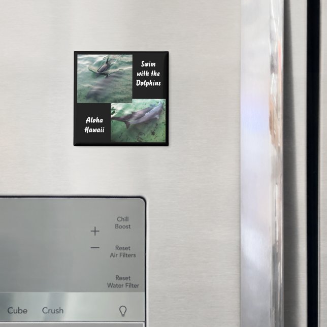 Imán Nadar con delfines Hawái (In situ (nevera))