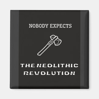 Imán Nadie espera una revolución neolítica