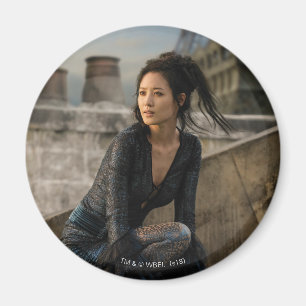 Imán Nagini en la azotea