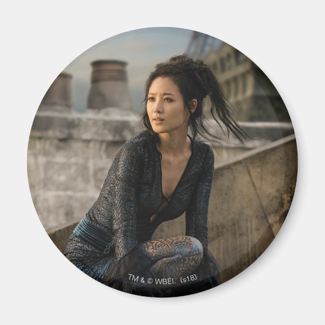 Imán Nagini en la azotea (Frente)