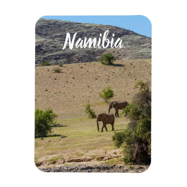Imán Namibia África Huab Río Elephant Damaraland (Vertical)
