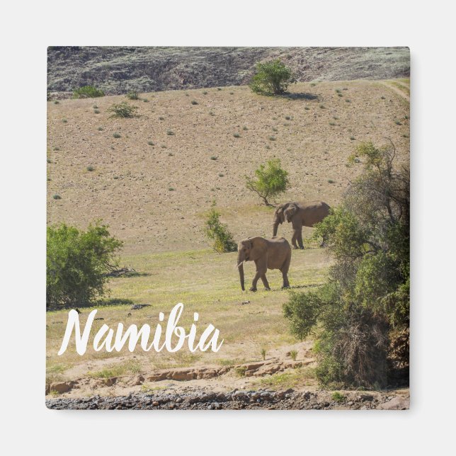 Imán Namibia África Huab Río Elephant Damaraland (Frente)