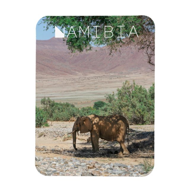 Imán Namibia África Huab Río Elephant Damaraland (Vertical)