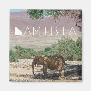 Imán Namibia África Huab Río Elephant Damaraland