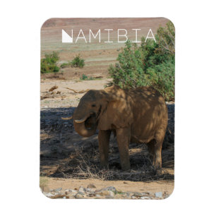 Imán Namibia África Huab Río Elephant Damaraland