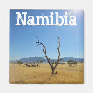 Imán Namibia Marienfluss Savannah Paisaje Naturaleza