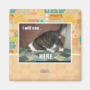 Imán Nap aquí