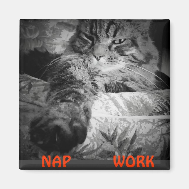 Imán ¿Nap o Trabajo? Kitty Dice "Nap" (Frente)