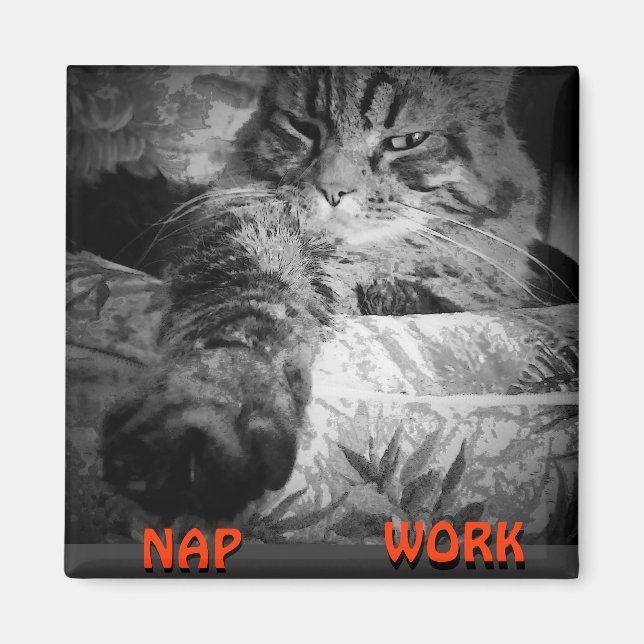 Imán ¿Nap o Trabajo? Kitty Dice "Nap" Meme (Frente)