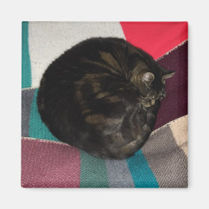 Imán Nap Time Dave Square Magnet