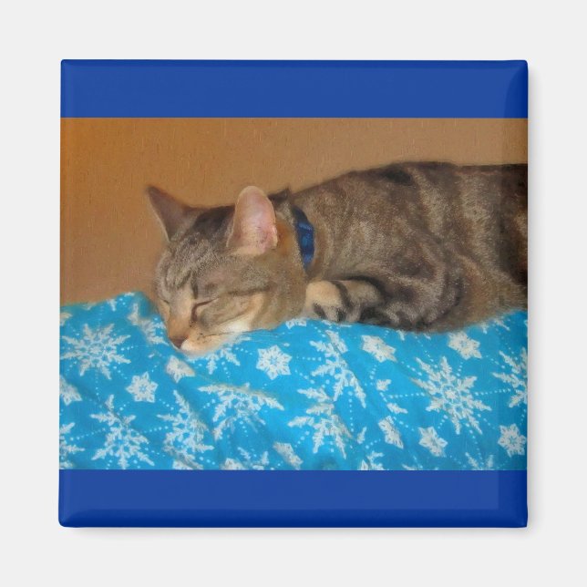 Imán Nap Time For Indigo (Frente)