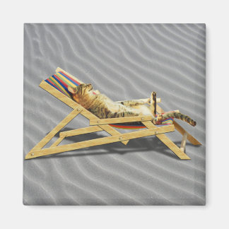Imán Napa de gato de verano en la silla de playa con so