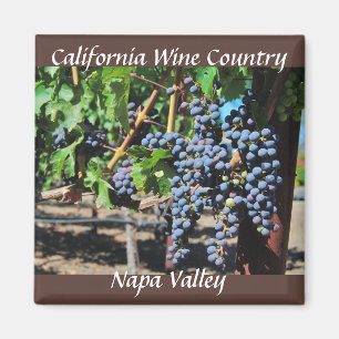 Imán Napa Valley California Wine Country
