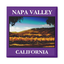 Napa Valley Picturiesque Kitchen Magnet