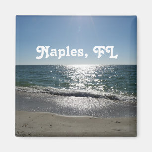 Imán Nápoles, la Florida