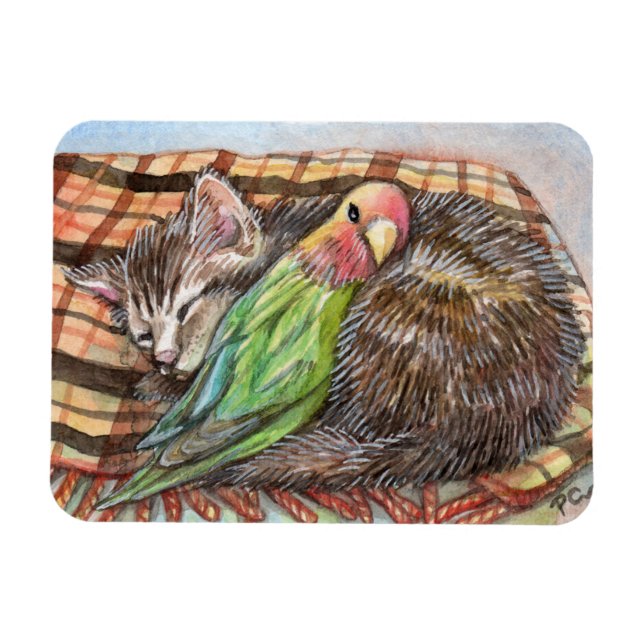 Imán Napping Buddy (Horizontal)