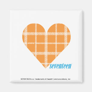 Imán Naranja 4 de la tela escocesa