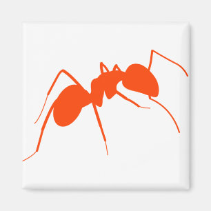Imán Naranja Ant