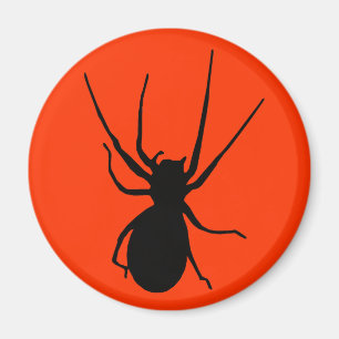 Imán Naranja Black Creepy Spider Magnet