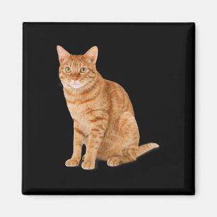 Imán Naranja Cat Tab Funny Cat Parody Cat Lover Gift Ki