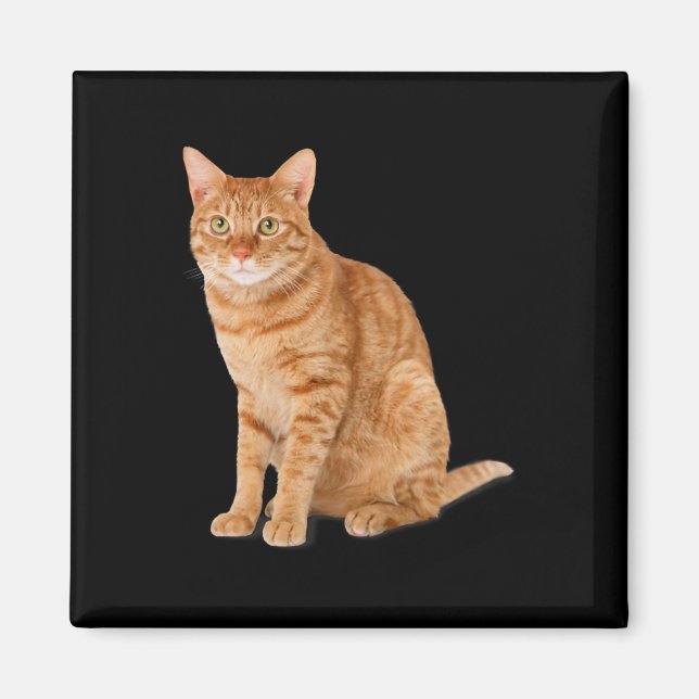 Imán Naranja Cat Tab Funny Cat Parody Cat Lover Gift Ki (Frente)