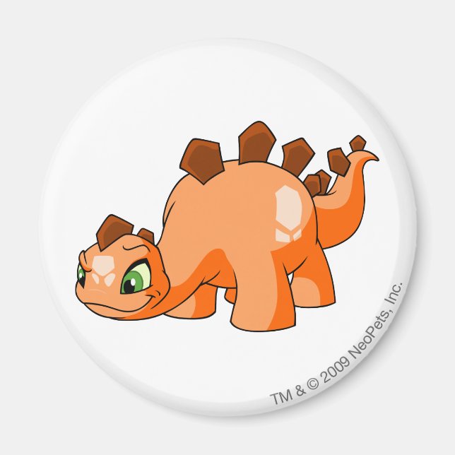 Imán Naranja Chomby (Frente)