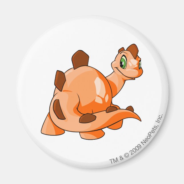 Imán Naranja Chomby (Frente)