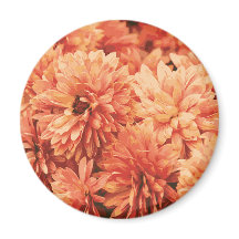 Naranja Chrysanthemum Magnet