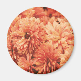 Imán Naranja Chrysanthemum Magnet