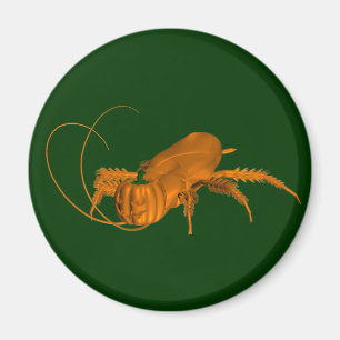Imán Naranja Cockroach