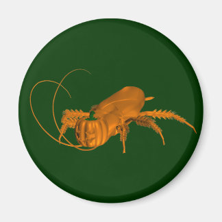 Imán Naranja Cockroach