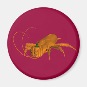 Imán Naranja Cockroach