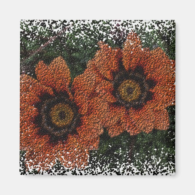 Imán Naranja Daisy Balls Magnet (Frente)