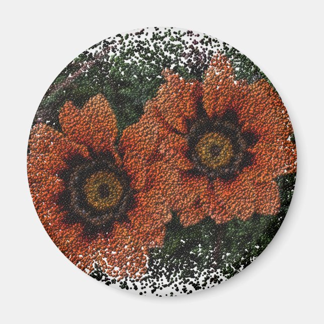 Imán Naranja Daisy Balls Round Magnet (Frente)