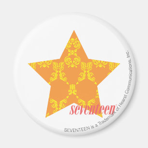 Imán Naranja Damask Amarillo 3