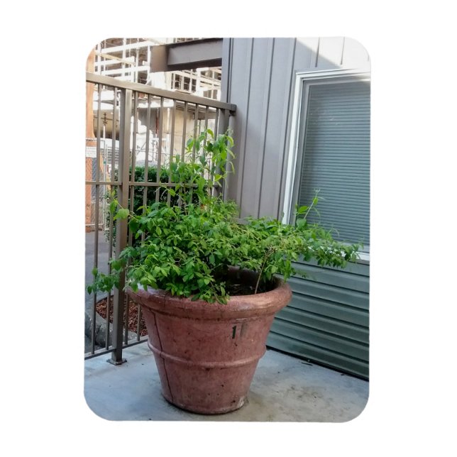 Imán Naranja de burla (Vertical)