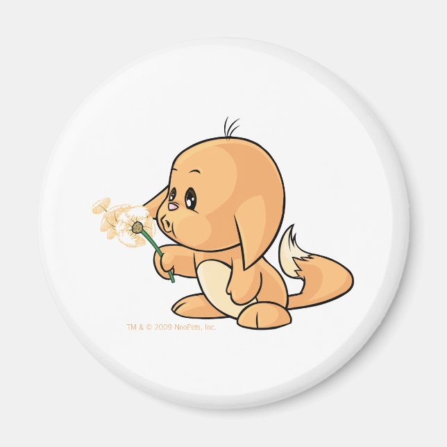 Imán Naranja de Deseos Kacheek (Frente)