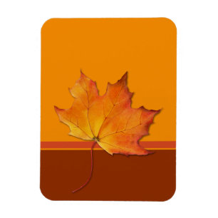 Imán naranja de hoja de arce Flexi Magnet