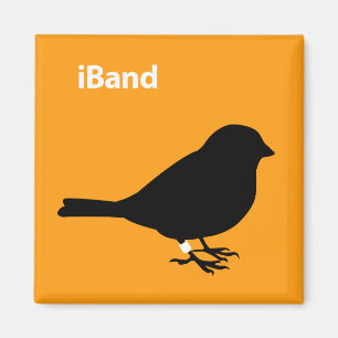 Imán naranja de iBand