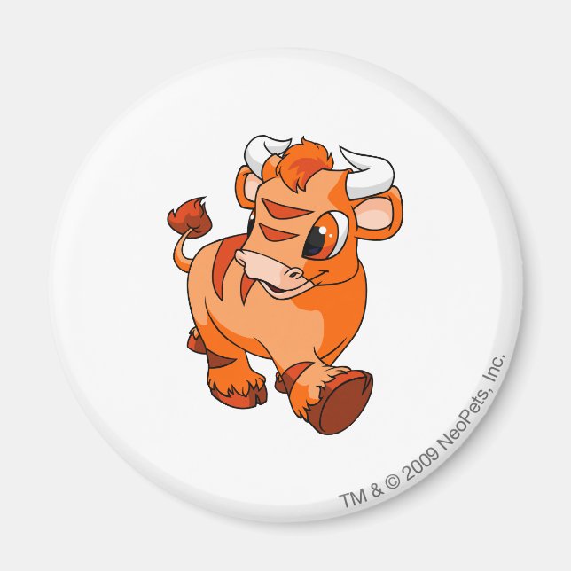 Imán Naranja de Kau (Frente)