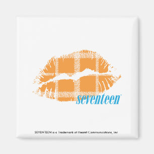 Imán Naranja de la tela escocesa