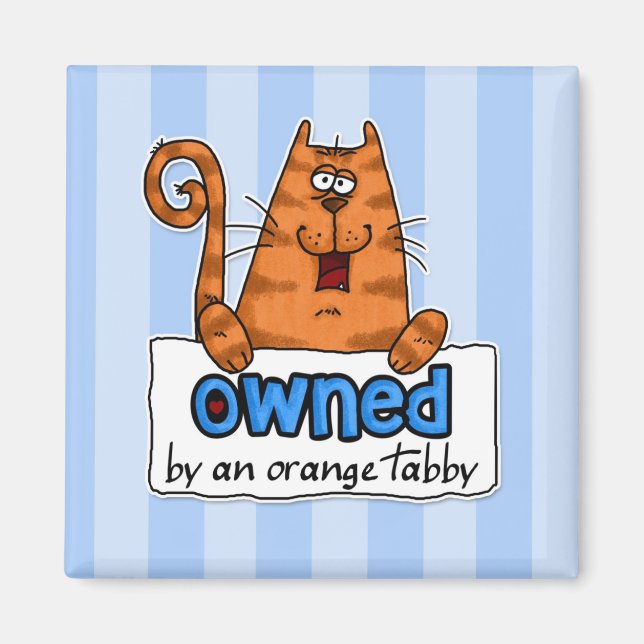Imán naranja de propiedad tabby (Frente)