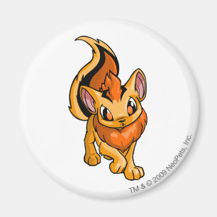 Imán Naranja de Xweetok