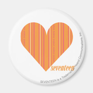 Imán Naranja fino 3 de las rayas