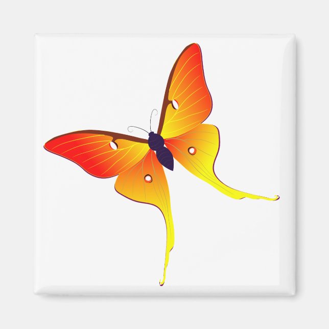 Imán Naranja Flame Butterfly Square Magnet (Frente)
